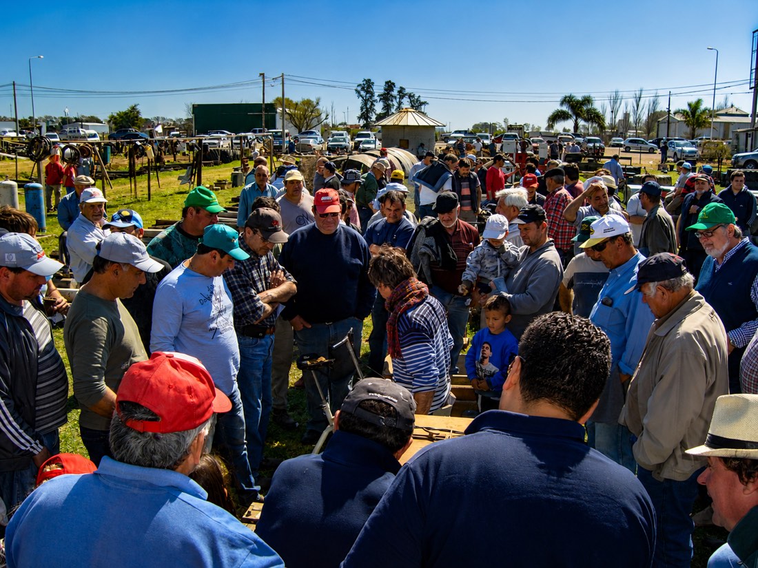 Rueda de compradores durante un remate a campo de LB Subastas